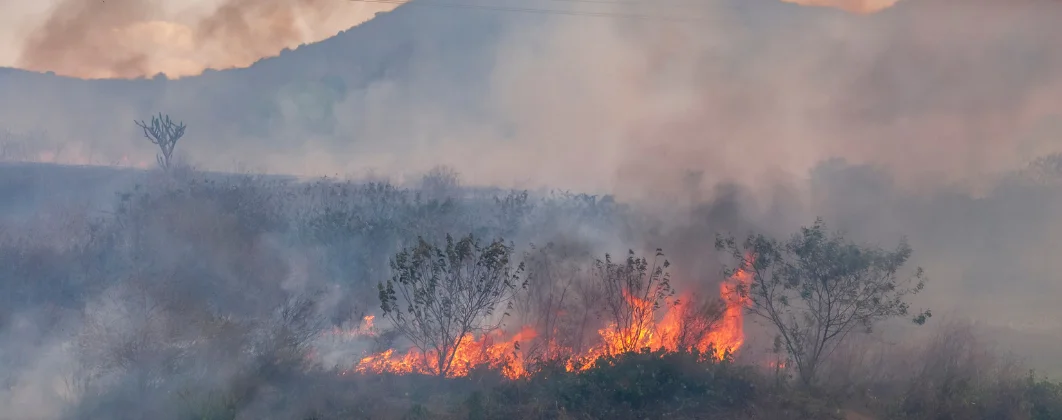 Prevenção e Controle do Fogo na Agricultura
