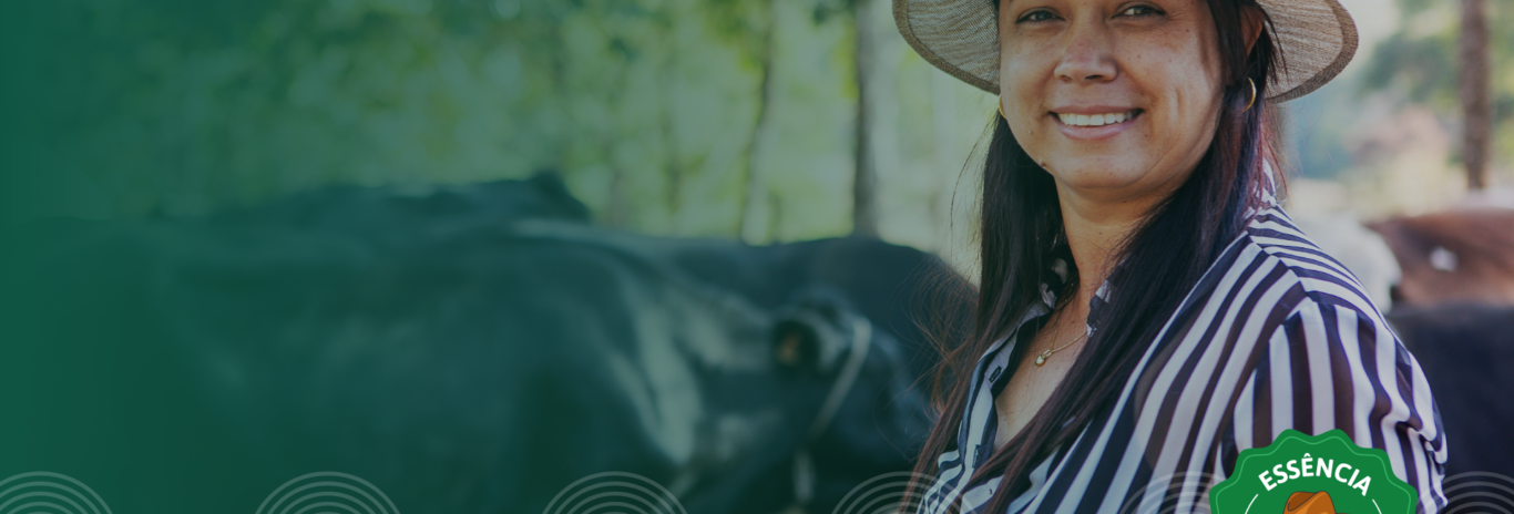 Banner cursos e programas