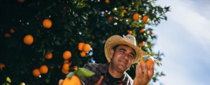 Curso-Nutrição-do-Solo-para-Cultivo-Frutíferas-Senar-Goiás