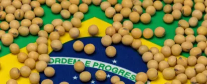 Comercialização e mercado de grãos