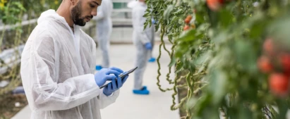 GESTÃO DE SEGURANÇA SAÚDE E MEIO AMBIENTE DE TRABALHO RURAL