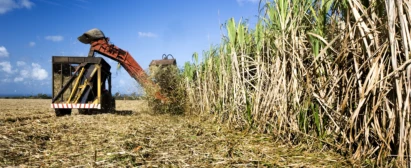 PRODUÇÃO DE CANA DE AÇÚCAR