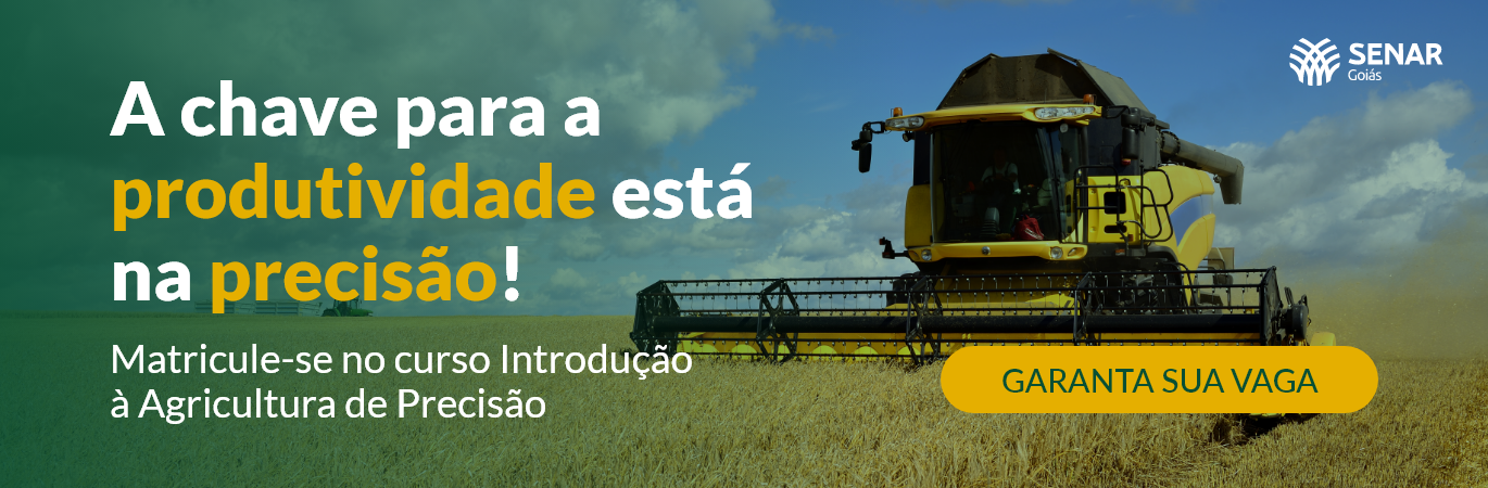 A chave para a produtividade está na precisão!