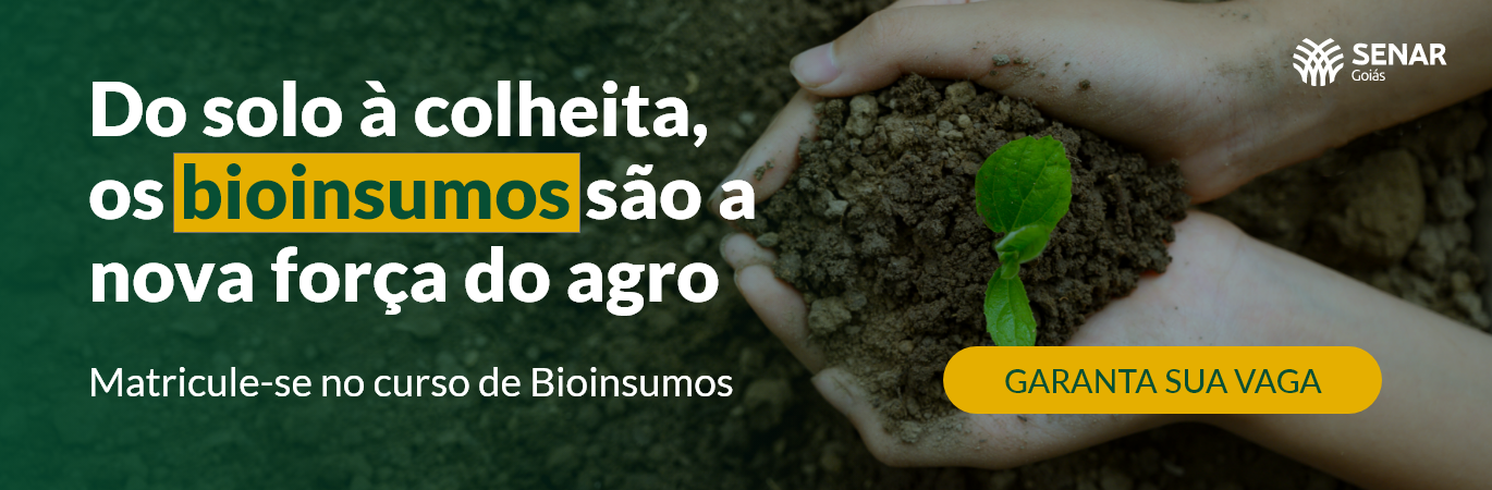 Do solo à colheita, os bioinsumos são a nova força do agro.