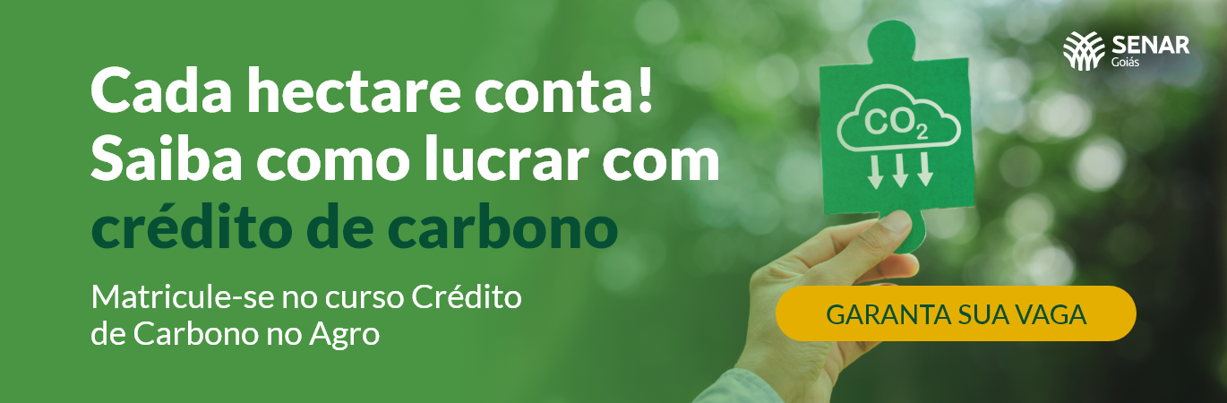 Cada hectare conta! Saiba como lucrar com crédito de carbono.