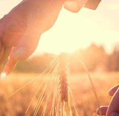 Em 20 cursos gratuitos e a distância, Senar Goiás  ensina ao produtor rural como ter mais sucesso nos negócios