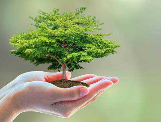 Novo curso no EaD Senar Goiás: Agropecuária Sustentável Novo curso no EaD Senar Goiás: Agropecuária Sustentável