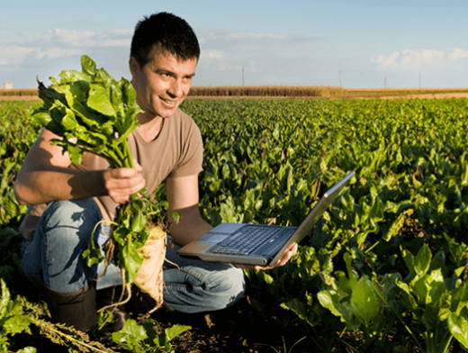 Jovem produtor: aprenda a empreender com sucesso! Jovem produtor: aprenda a empreender com sucesso!
