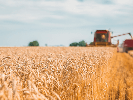 Você conhece o atual cenário do agronegócio e suas perspectivas? Você conhece o atual cenário do agronegócio e suas perspectivas?