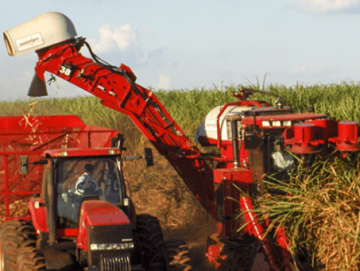 Agropecuária gerou 10.526 vagas de emprego em Goiás em 2017 Agropecuária gerou 10.526 vagas de emprego em Goiás em 2017