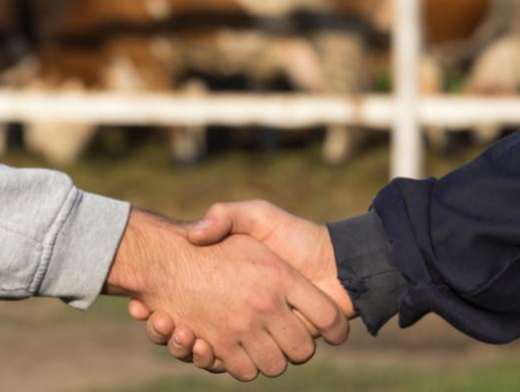 Como a reforma trabalhista e as políticas públicas podem influenciar o agronegócio? Como a reforma trabalhista e as políticas públicas podem influenciar o agronegócio?