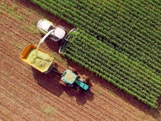 Como conseguir mais produtividade, retorno financeiro e sustentabilidade no setor agro Como conseguir mais produtividade, retorno financeiro e sustentabilidade no setor agro