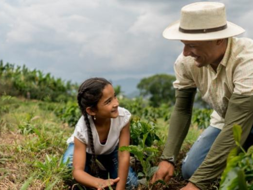 Dar continuidade à agricultura familiar nunca foi tão promissor Dar continuidade à agricultura familiar nunca foi tão promissor
