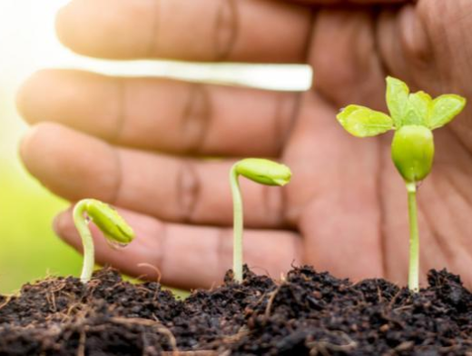 Dicas de ações sustentáveis que favorecem seu bolso e o meio ambiente! Dicas de ações sustentáveis que favorecem seu bolso e o meio ambiente!
