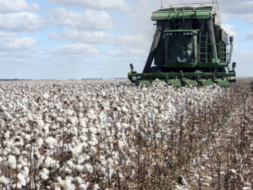 A força do agro impulsiona você a chegar mais longe! A força do agro impulsiona você a chegar mais longe!